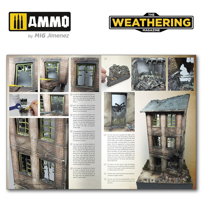 AMIG4032_05